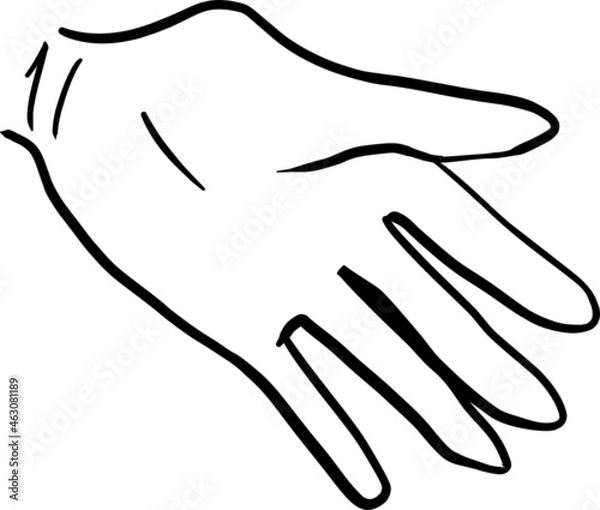 Fototapeta Hand Gestures 