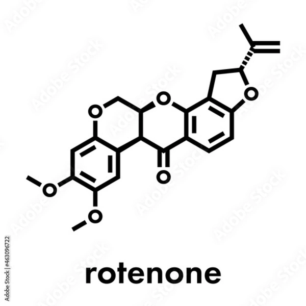 Fototapeta Rotenone broad-spectrum insecticide molecule. Also linked to development of Parkinson’s disease. Skeletal formula.