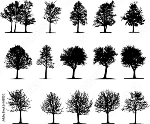 Obraz Trees (vector)