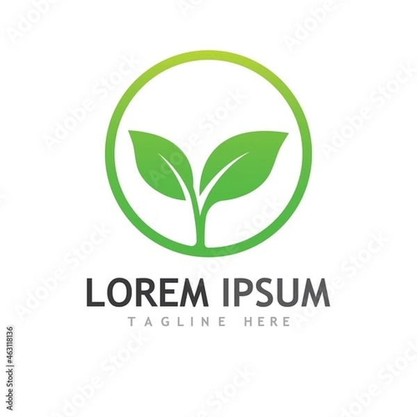 Obraz leaf logo and vector images