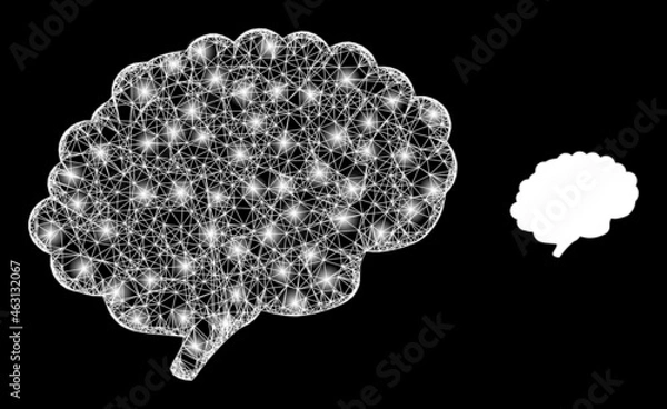 Fototapeta Glossy mesh vector brain organ with glare effect. White mesh, glare spots on a black background with brain organ icon. Mesh and lightspot elements are placed on different layers.