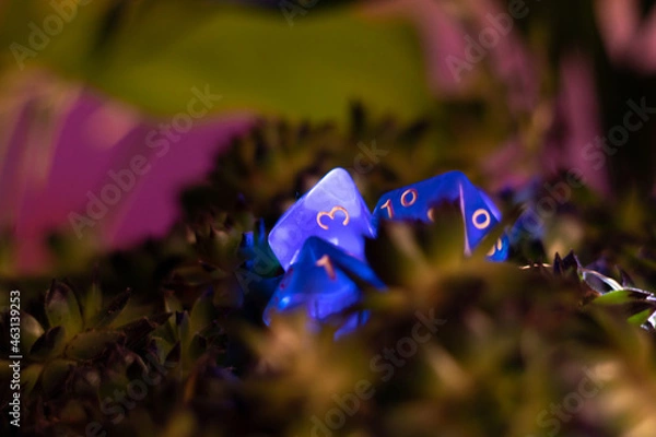 Obraz Game Board Dice