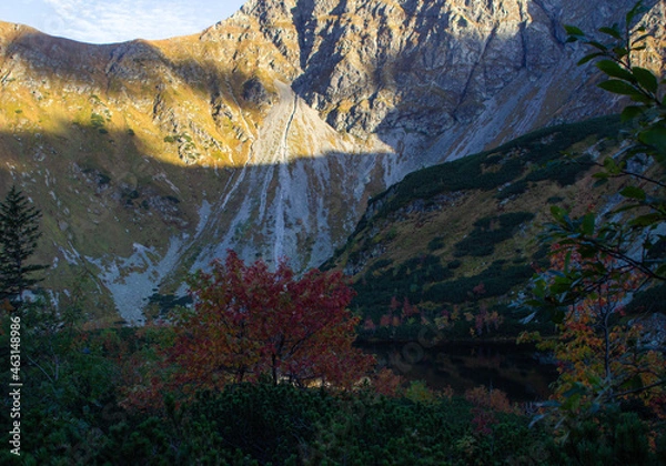 Obraz Tatry słowackie, Rohacka dolina