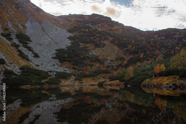 Obraz Tatry słowackie, Rohacka dolina