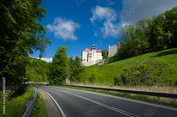 Fototapeta PieskowaSkala_2021