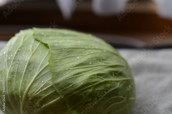 Obraz 新鮮なキャベツ