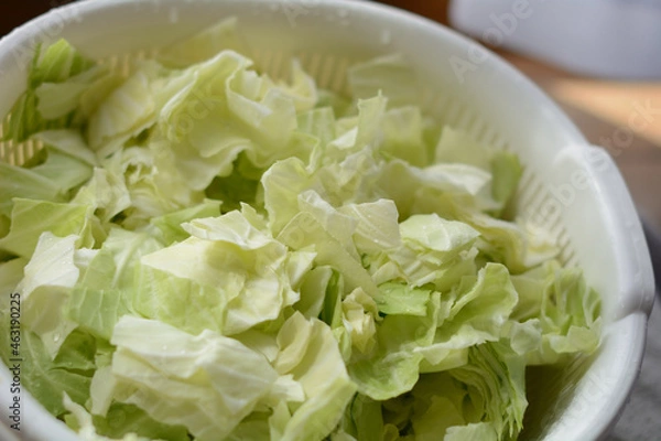 Obraz 新鮮なキャベツ