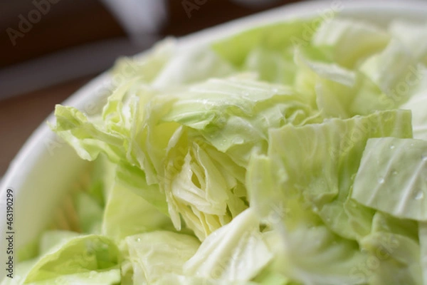 Obraz 新鮮なキャベツ