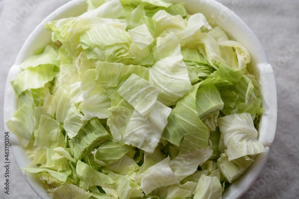 Obraz 新鮮なキャベツ