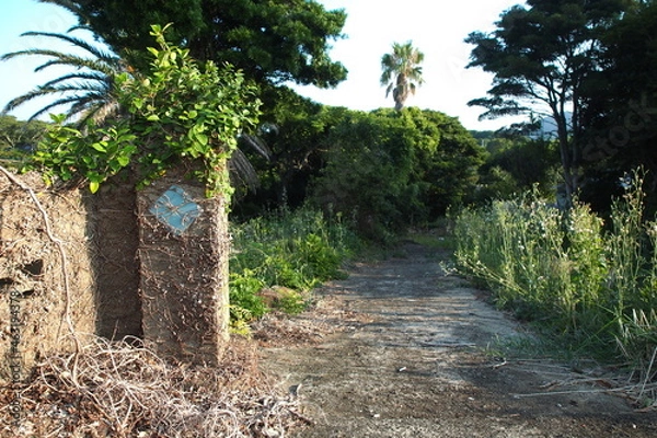 Fototapeta 宇久島の景色