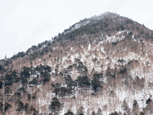 Obraz icicles and snow