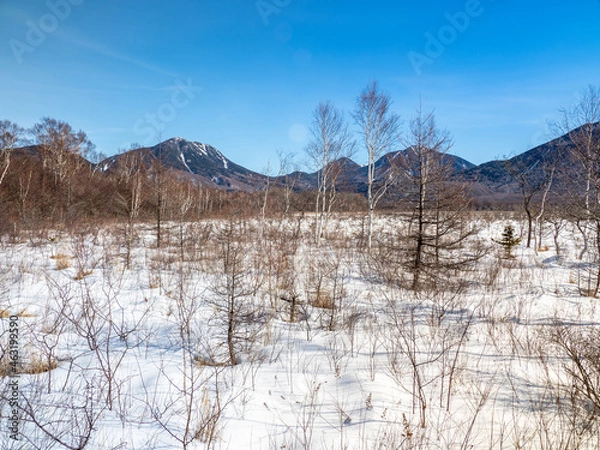 Obraz landscape with snow