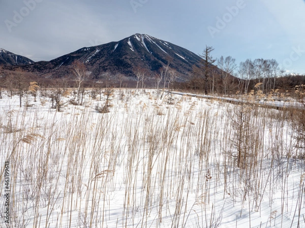 Obraz snow on the mountain