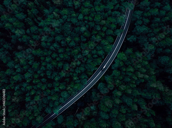 Obraz highway in forest