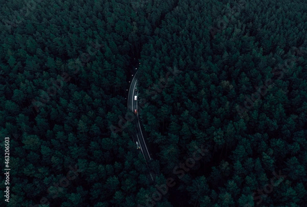 Obraz highway in forest