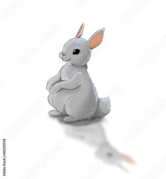 Fototapeta Bunny