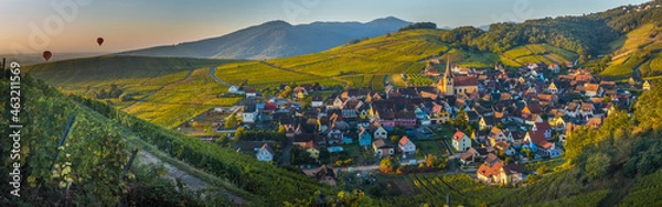 Obraz Over the vineyards
