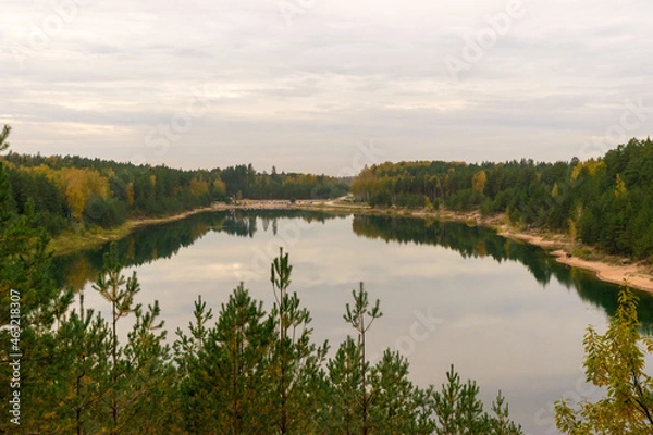 Obraz lake in the forest