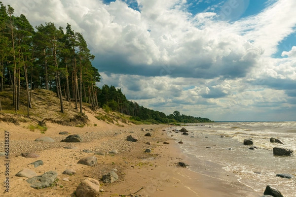 Fototapeta beach with trees