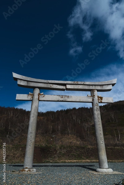 Fototapeta Torii gates
