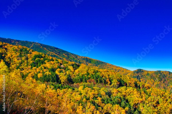 Obraz Autumn leaves of Yatsugatake and Asama Mountains in the sea area