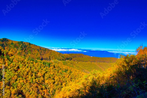 Obraz Autumn leaves of Yatsugatake and Asama Mountains in the sea area