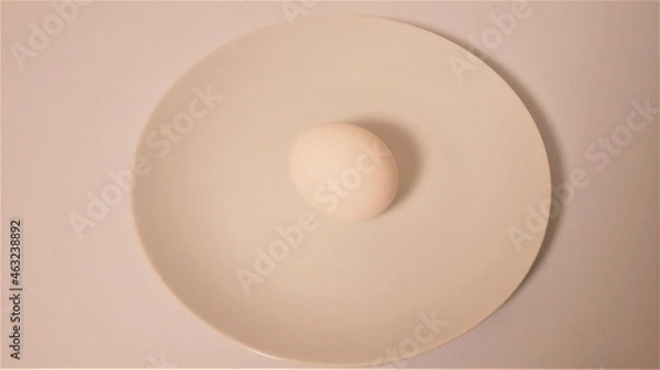 Fototapeta egg