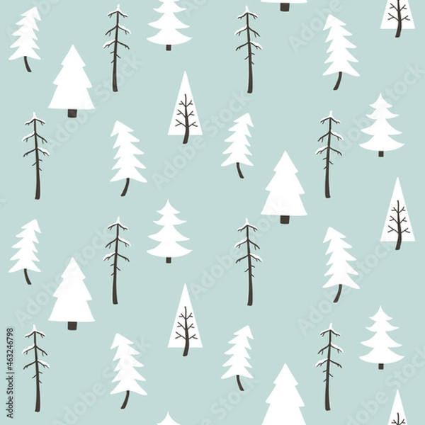 Fototapeta Cold winter pine trees 