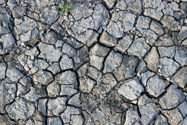 Fototapeta Dried out soil with deep cracks. Dry wasteland without water and pathetic vegetation.