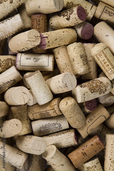 Obraz Wine corks