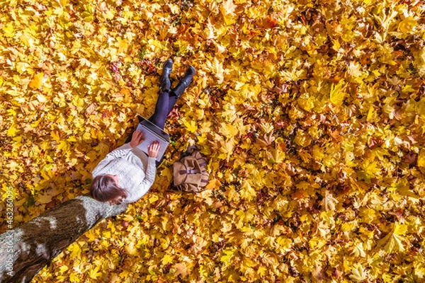 Obraz Top view. Beautiful young student woman with laptop sitting under tree  on the autumn maple leaves in the park. Aerial, drone view