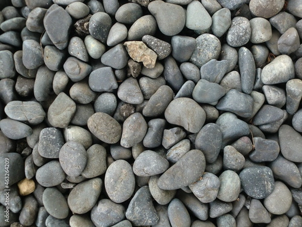 Obraz たくさんの玉砂利
