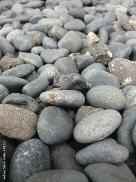 Fototapeta たくさんの玉砂利