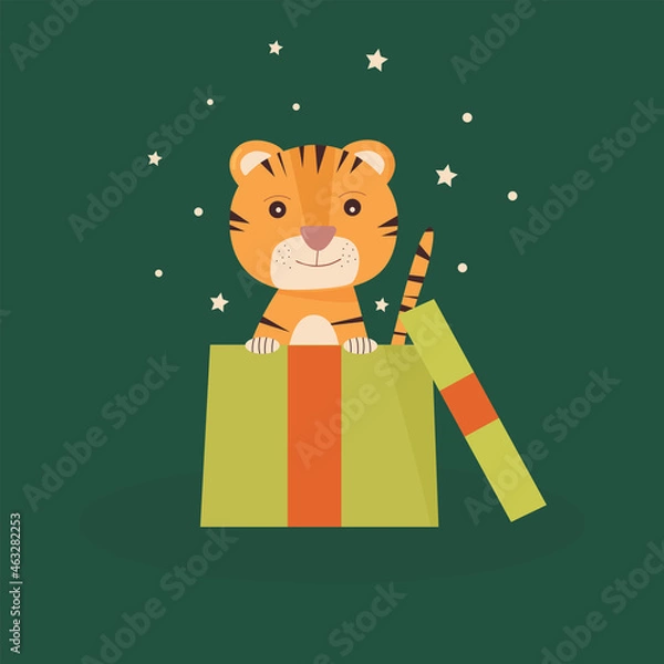 Fototapeta Cute little cartoon tiger in a Christmas gift box. Happy Chinese New Year 2022 festive design Flat vector illustration on a green background