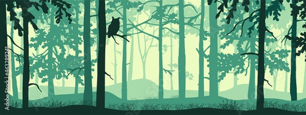 Obraz Horizontal banner of forest background, silhouettes of trees, owl on branch. Magical misty landscape, fog. Blue and green illustration. Bookmark. 