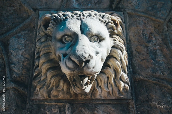Obraz head of lion statue