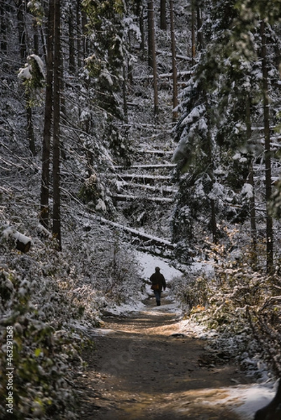 Obraz schodząc z gór
