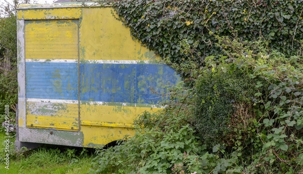 Fototapeta Old weathered colourful industrial trailer, overgrown with ivy left by a roadside. Closed sliding door. Flaking yellow, blue and white paintwork. Landscape image with space for text. UK.
