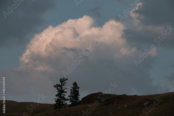 Fototapeta Landscape near the Ulagan district center in the Republic of Altai
