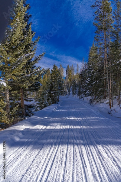 Fototapeta Lonely Trail