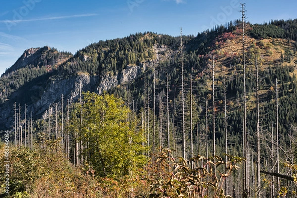 Obraz jesień w górach