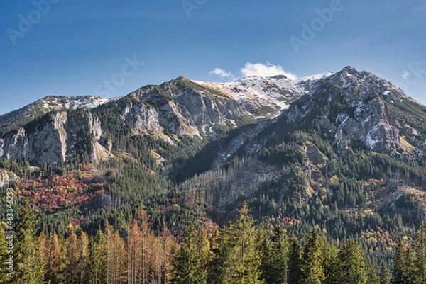 Obraz widok na góry