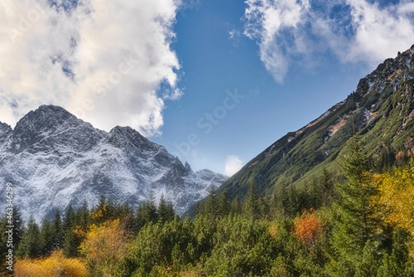 Obraz biało zielono niebiesko