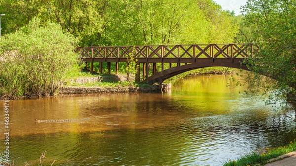 Obraz Park in the summer. Bridge over the river with ducks.