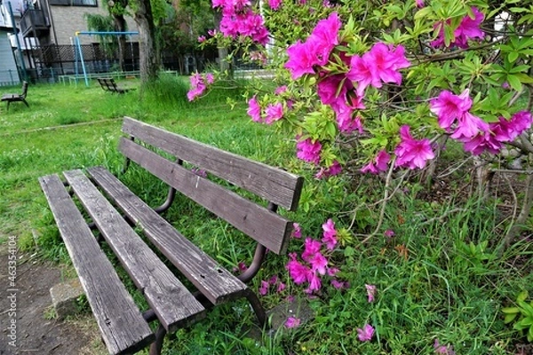 Obraz 誰もいないベンチ