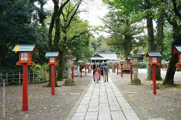 Obraz 鷲宮神社（埼玉県）の参道