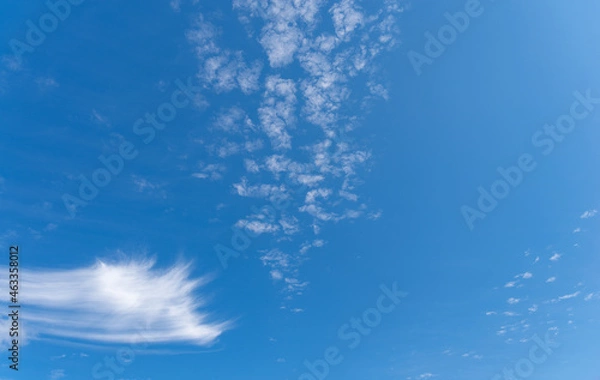 Fototapeta 見上げると青い空
