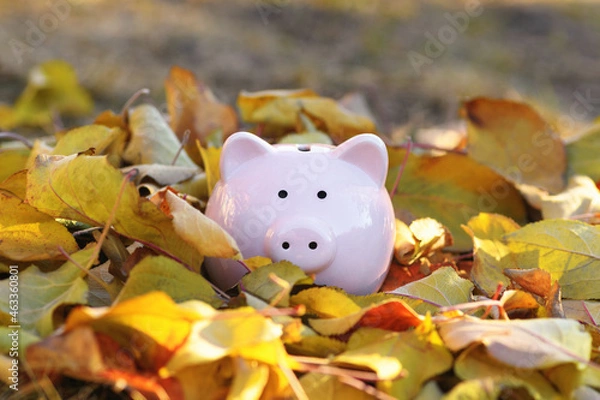 Obraz Pink piggy Bank in autumn leaves on the ground. Banking concept in autumn time