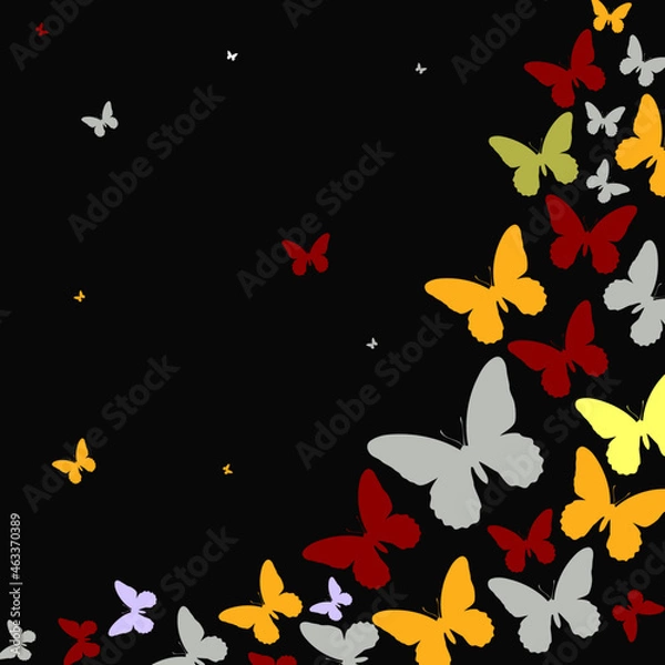 Fototapeta Colorful Butterfly Pattern On Black Background Copy Space
