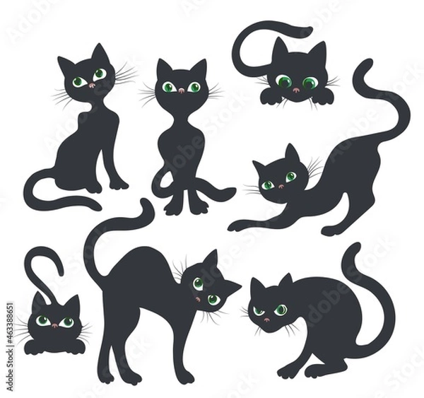 Fototapeta Curiosity kitten silhouettes